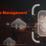 Database Management Services