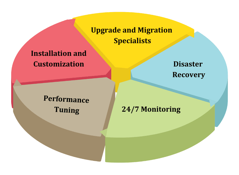 Remote DBA Services