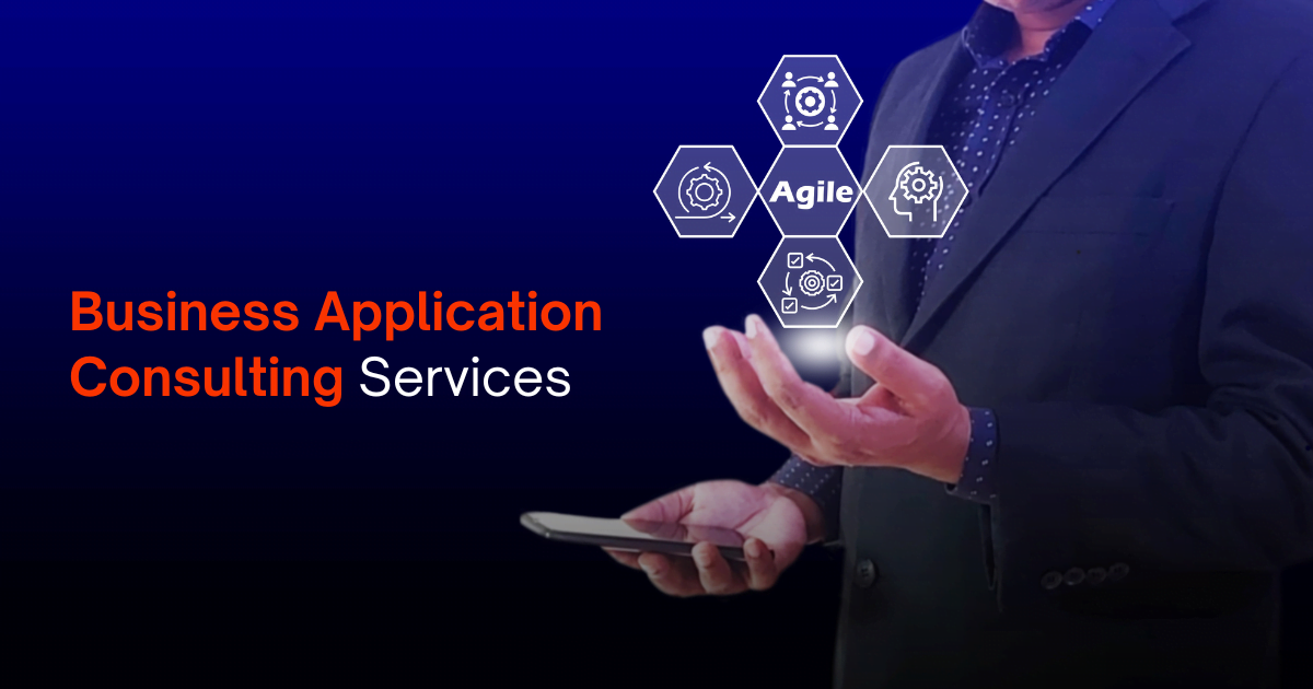 Business Application Consulting Services